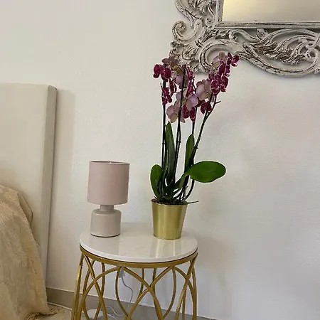 My In Apartment