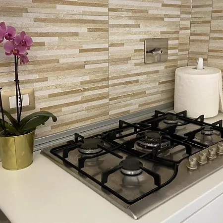 My In Apartamento